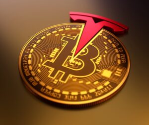 Tesla explicó el potencial a largo plazo de Bitcoin
